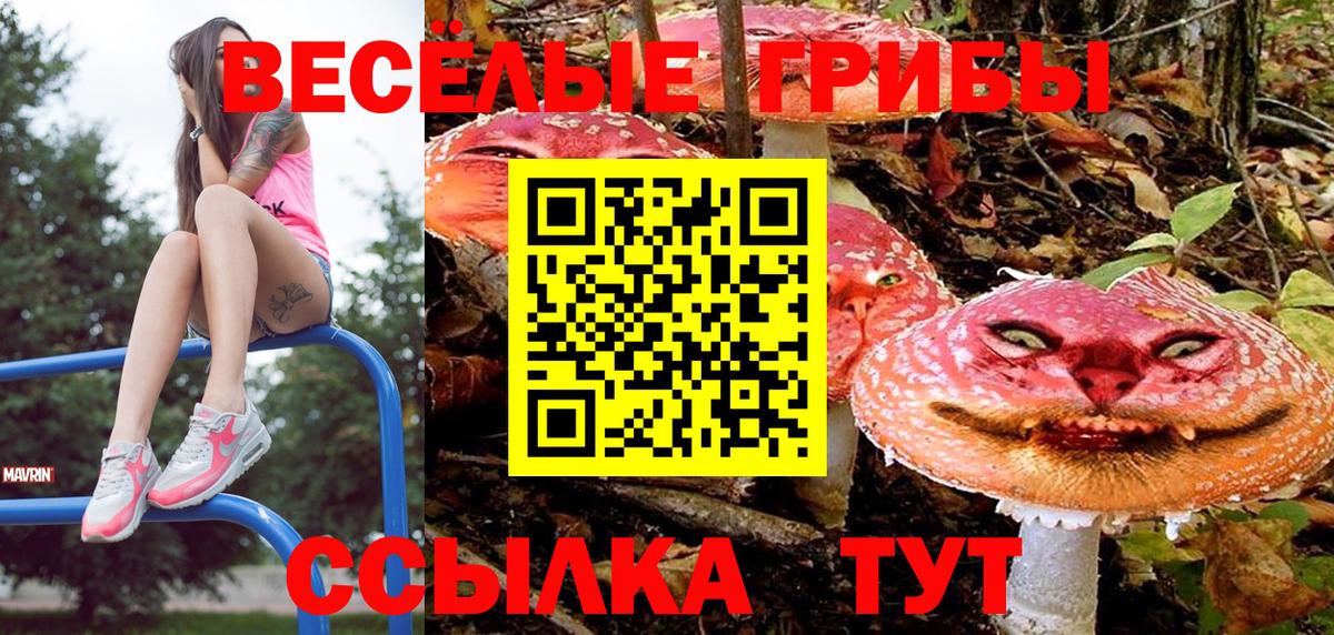 Псилоцибиновые грибы MAGIC MUSHROOMS Советский