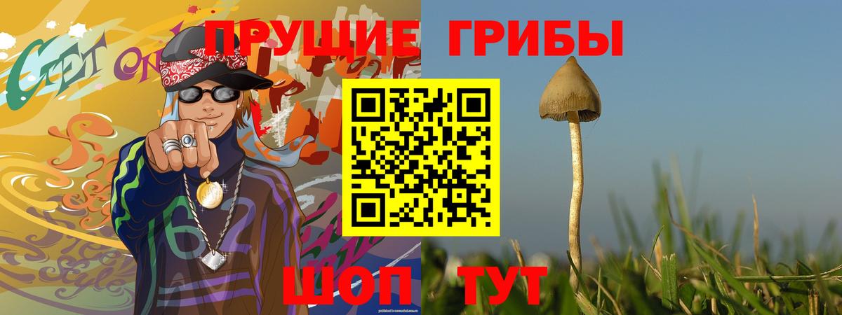 Галлюциногенные грибы прущие грибы  Псилоцибиновые грибы мицелий  Вход с VPN  Советский 
