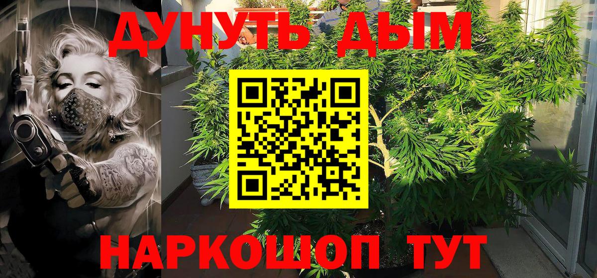 Бошки марихуана семена  Канабис AK-47  Вход с VPN  Советский 